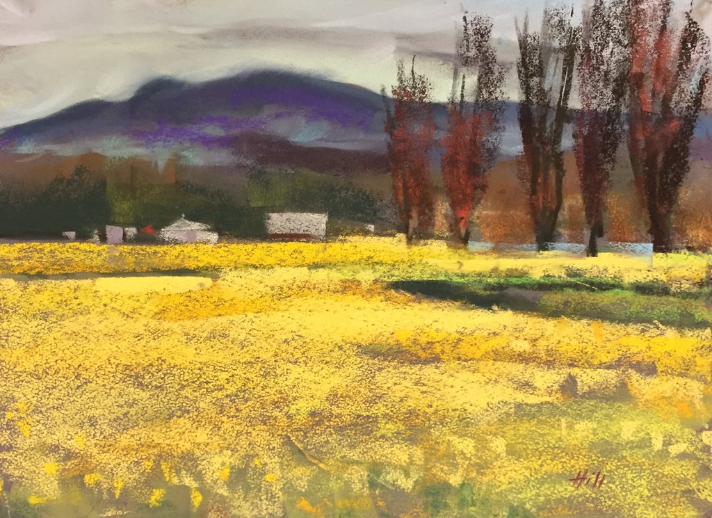 Pending Rain, Daffodil Fields III