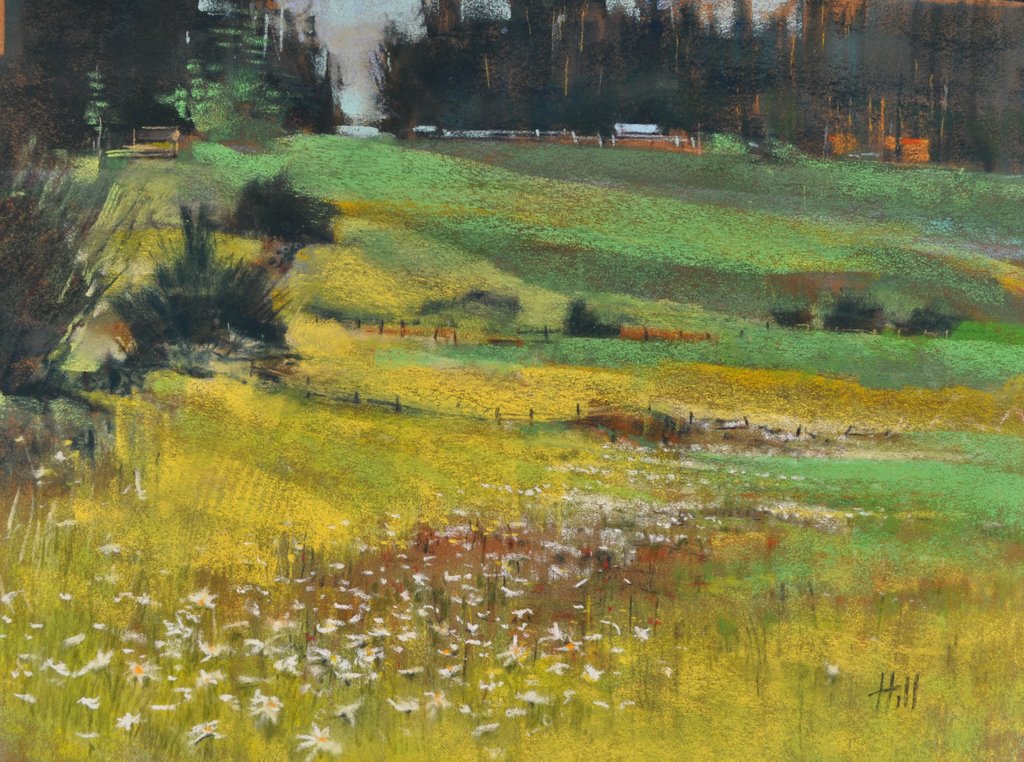 Late Spring Meadow, Lopez