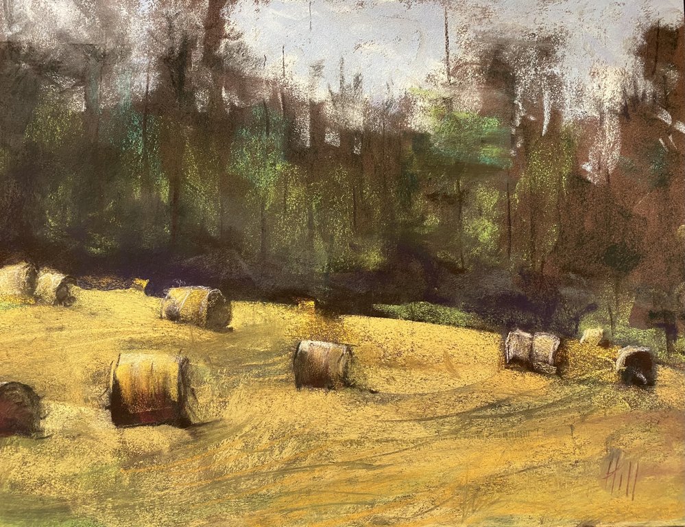 Sweetbrier in Full Summer Light
