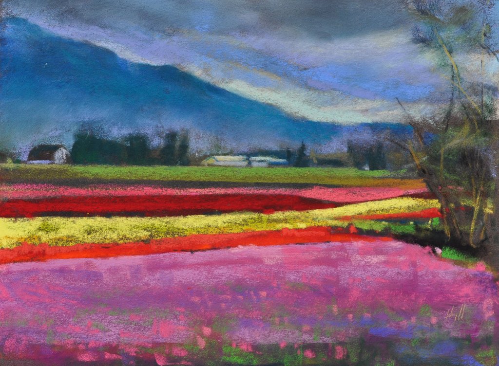 Fields of Color