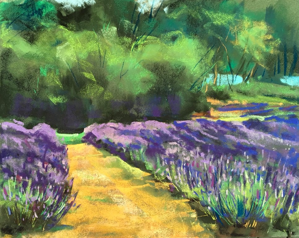 Purple Haze, Pelindaba Lavender Farm