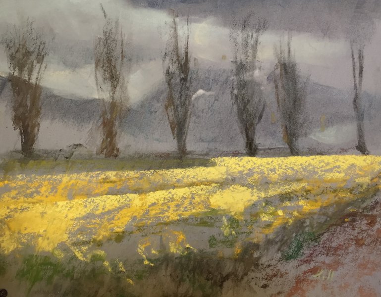 Study for Pending Rain and Spring Daffodil